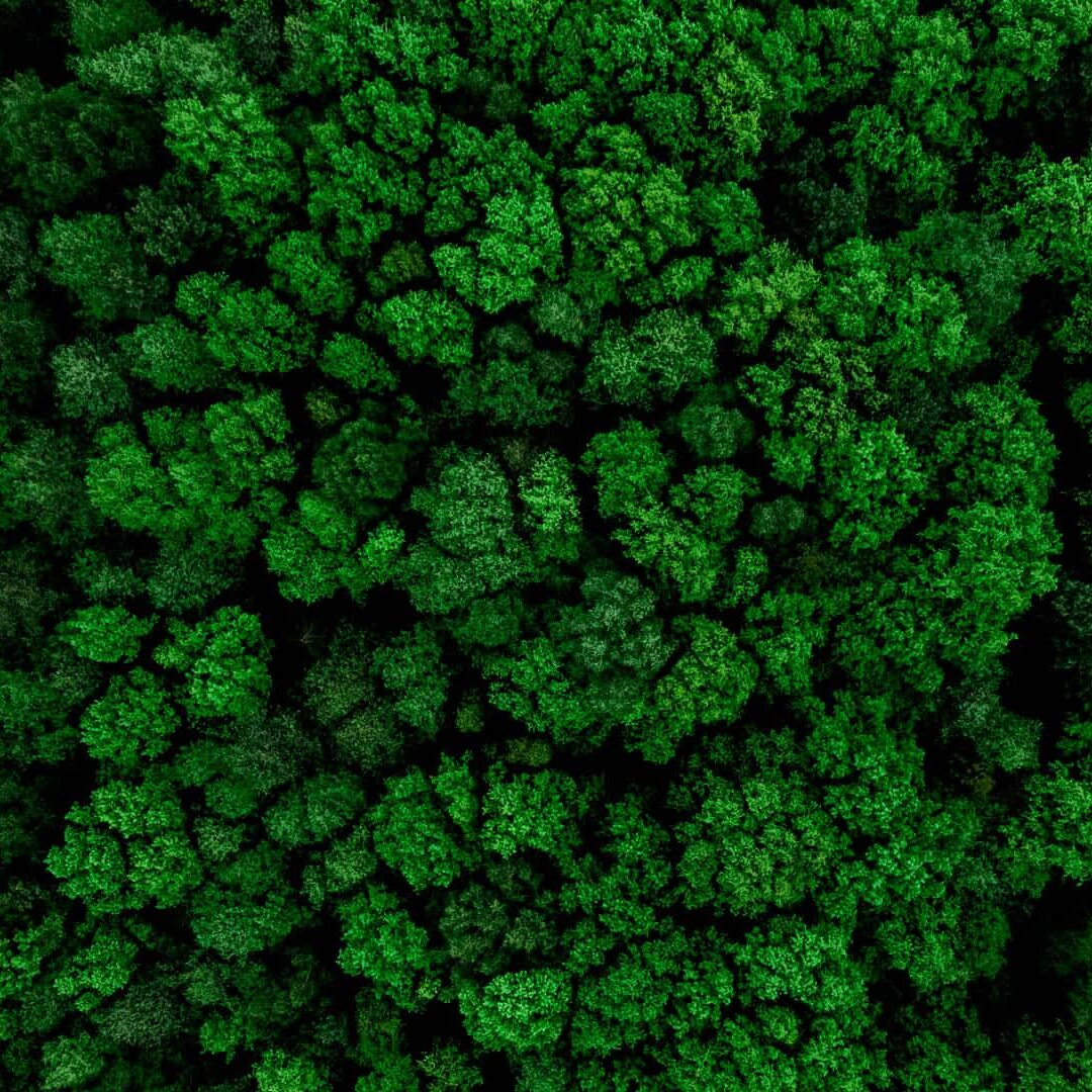 orme+associates-hero-image orme+associates-hero-image